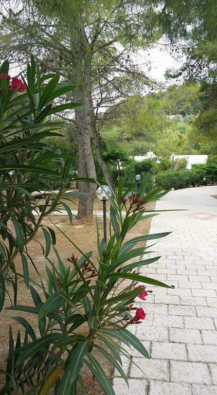 Villaggio Sabbiadoro เวียสเต ภายนอก รูปภาพ